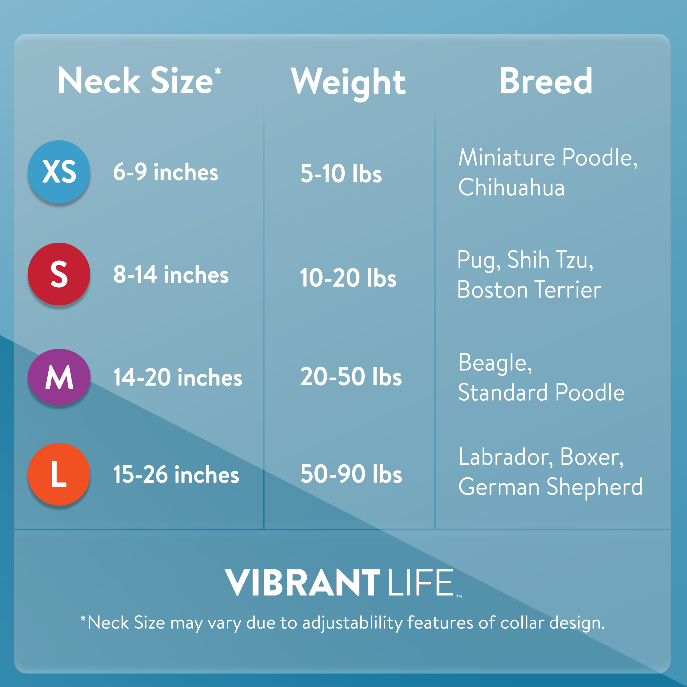 Vibrant Life Solid Nylon Dog Collar with Metal Buckle, Blue, Medium - image 5 of 7