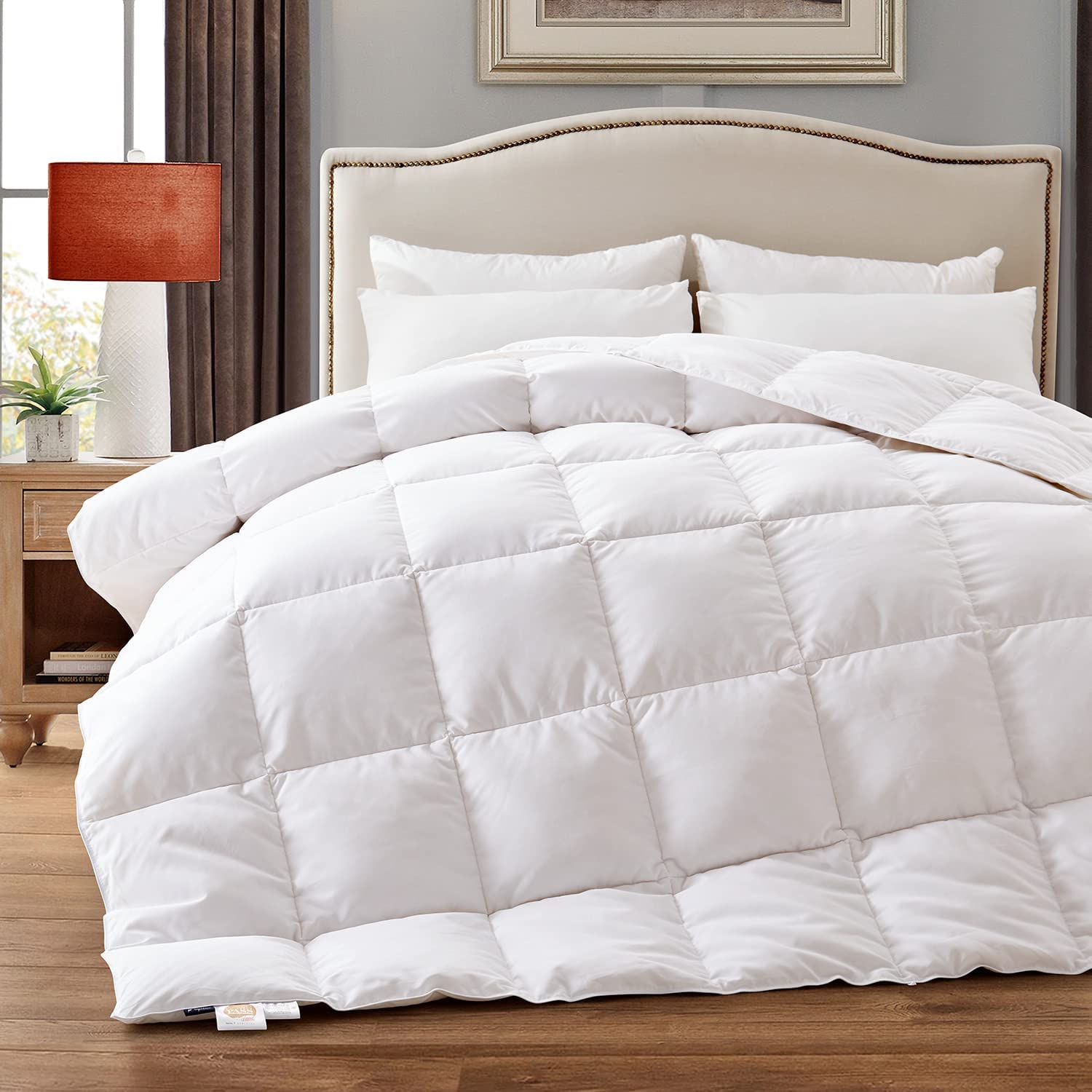 Down Comforter Queen Size,Duvet Insert for Year Round Use, Noiseless