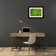 thumbnail image 3 of Engelbrecht, Lisa S. 24x17 Black Ornate Wood Framed with Double Matting Museum Art Print Titled - Flowering Stonecrop, 3 of 4