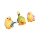 thumbnail image 3 of 3 piezas Figuras decorativas de aves en miniatura Mini Figuras de pájaros Flower Ornaments para estante Photo Prop Home Hogar, 3 of 9