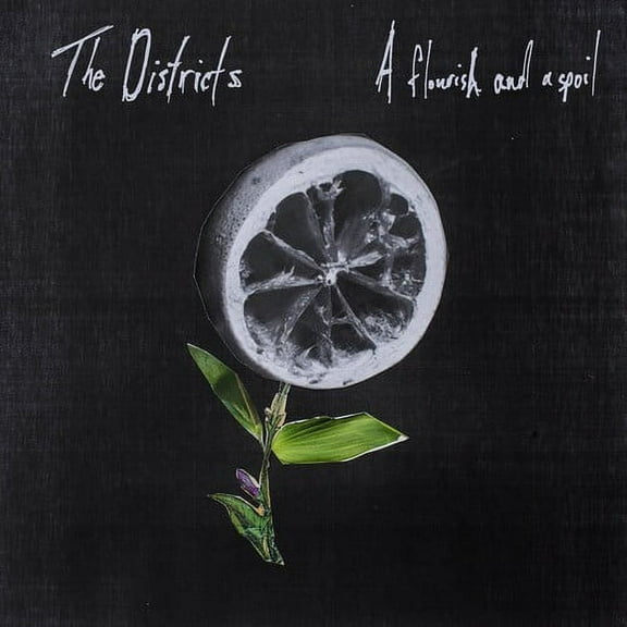 A Flourish and a Spoil The Districts (Vinyl Record)