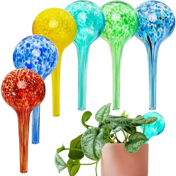Plant Watering GlobesLarge Watering Bulbs Automatic System6 Pack