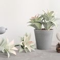 thumbnail image 1 of Flmtop Mini Artificial Succulent Plant Bonsai Fake Pineapple Leaf Balcony Desktop Decor, 1 of 7