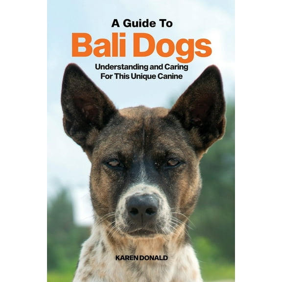 A Guide to Bali Dogs: Understanding and Caring For This Unique Canine, (Paperback)