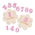 thumbnail image 1 of lionlar Baby Monthly Milestone Cards Sign Gift Keepsake Memories Unique Double Sided Pink, 1 of 8