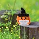 thumbnail image 3 of Halloween Divertido Positivo Vida Calabaza Tejido Animal Sosteniendo Tarjeta Crochet Pascua Cumpleaños Navidad Niñas Fiesta, 3 of 7