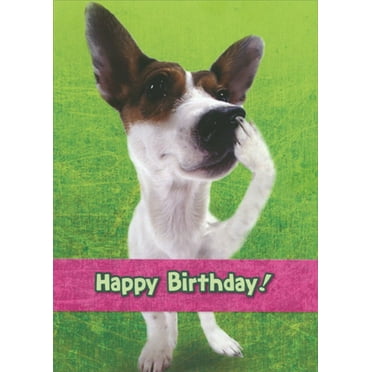 Designer Greetings Standing Dog: Kind, Marvelous, Thoughtful Funny ...