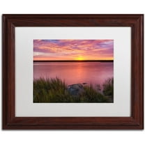 Trademark Fine Art "Windy Marsh" Canvas Art by Michael Blanchette Photography White Matte, Wood Frame
