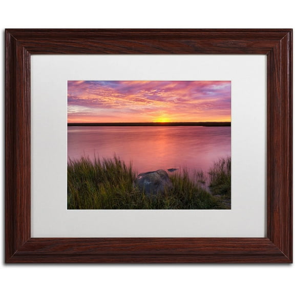 Trademark Fine Art "Windy Marsh" Canvas Art by Michael Blanchette Photography White Matte, Wood Frame