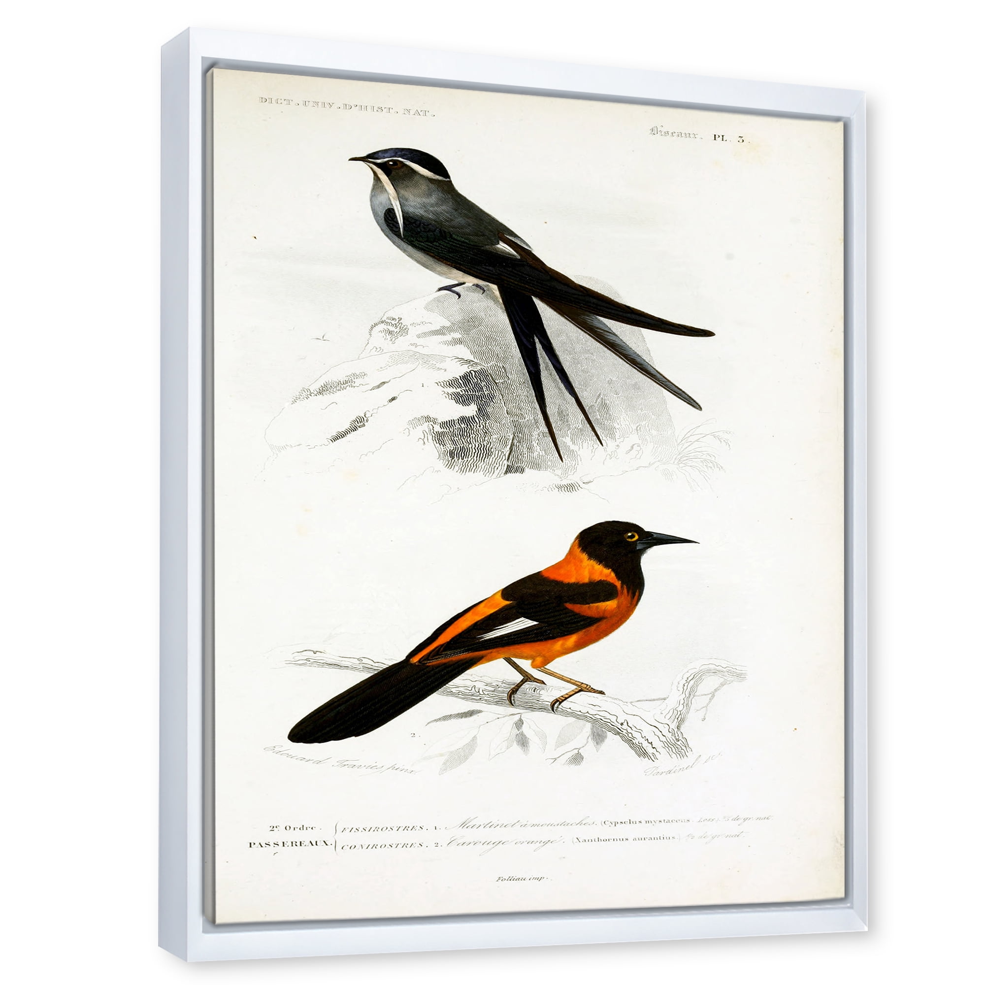 Designart 'Ancient Bird II' Traditional Framed Canvas Wall Art Print