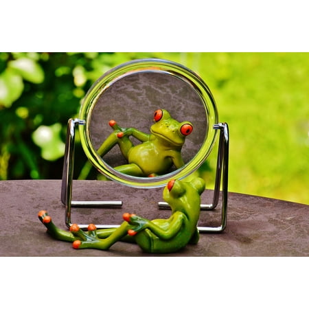 - LAMINATED POSTER Mirror Image Cute Mirror Frog Funny Mirroring Fun Poster Print 24 x 36