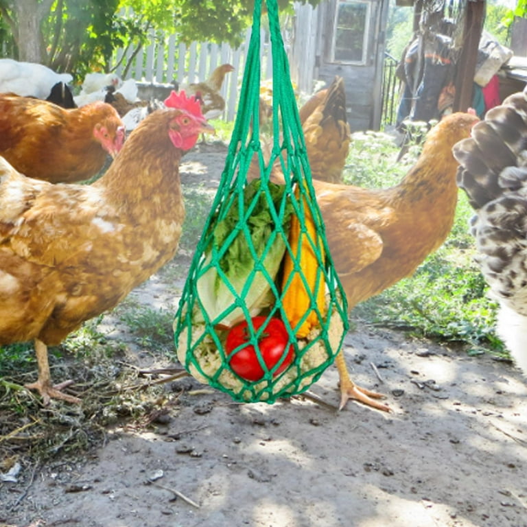 Chicken Vegetable Bag Hanging Feeder Skewers Lettuce Snack Holder