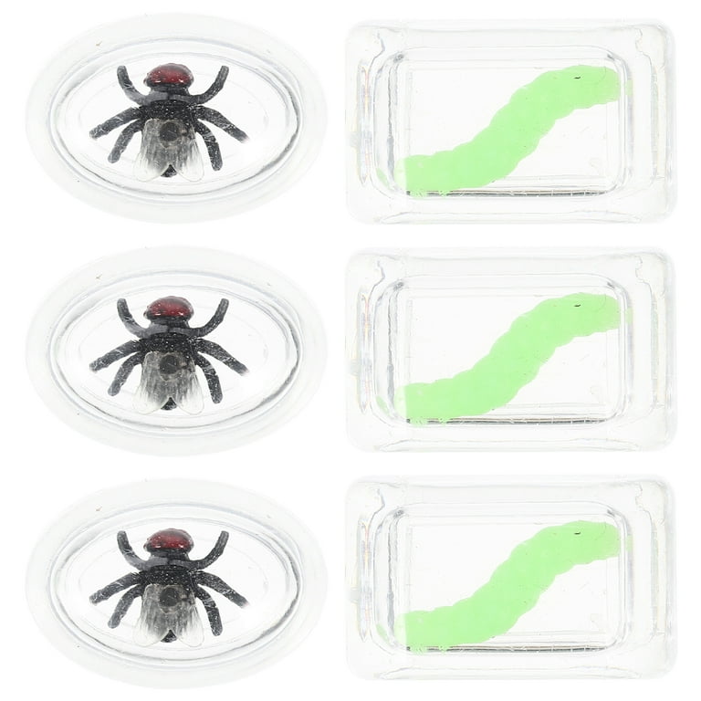 Toys to see pranks 2025