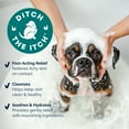 thumbnail image 4 of Vetnique DermaBliss Vet Strength Medicated Anti-Itch & Allergy Relief Shampoo for Dogs and Cats, 16 fluid ounces, 4 of 11