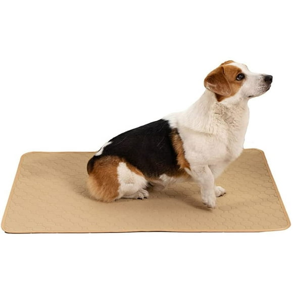 Reusable Pee Pad - Small Medidum Pet Training Pads - Puppy Pads Pee Pads for Dogs - Absorbent & Leak-Proof Potty Training Pads
