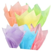 SKYSONIC Tissue Paper - Macaron Assorted Colors (Peach, Soft Yellow, Lime, Blue, Lavender) - 20 Inches 26 Inches 60 Sheets