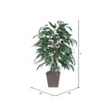 thumbnail image 3 of Conteneur Carré Marron 4 Pieds Mango Bush, 3 of 4