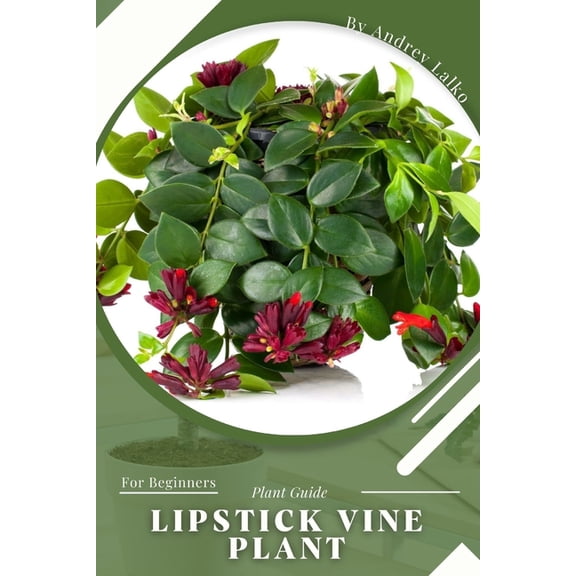 Lipstick Vine Plant: Plant Guide, (Paperback)