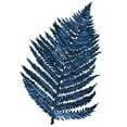 thumbnail image 3 of Medley, Elizabeth 15x18 Black Modern Framed Museum Art Print Titled - Blue Fern II, 3 of 5