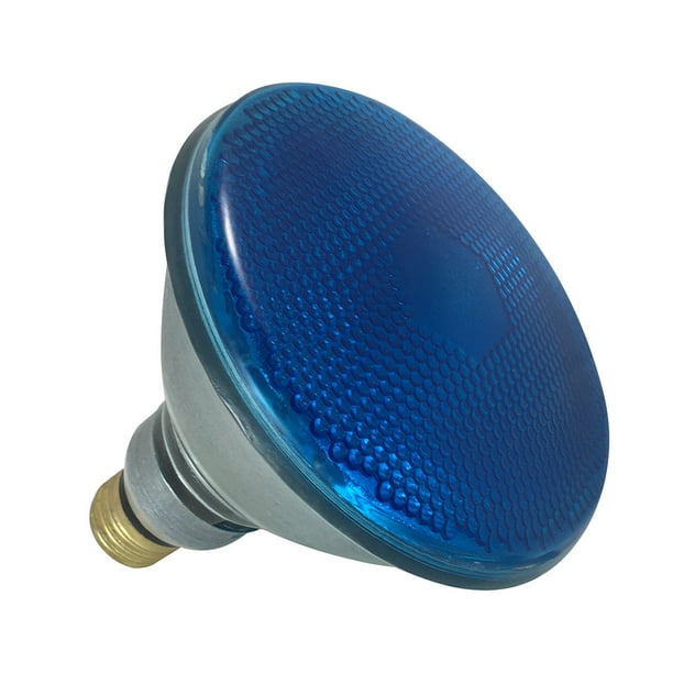 Sylvania Outdoor Flood Light Bulb, Blue