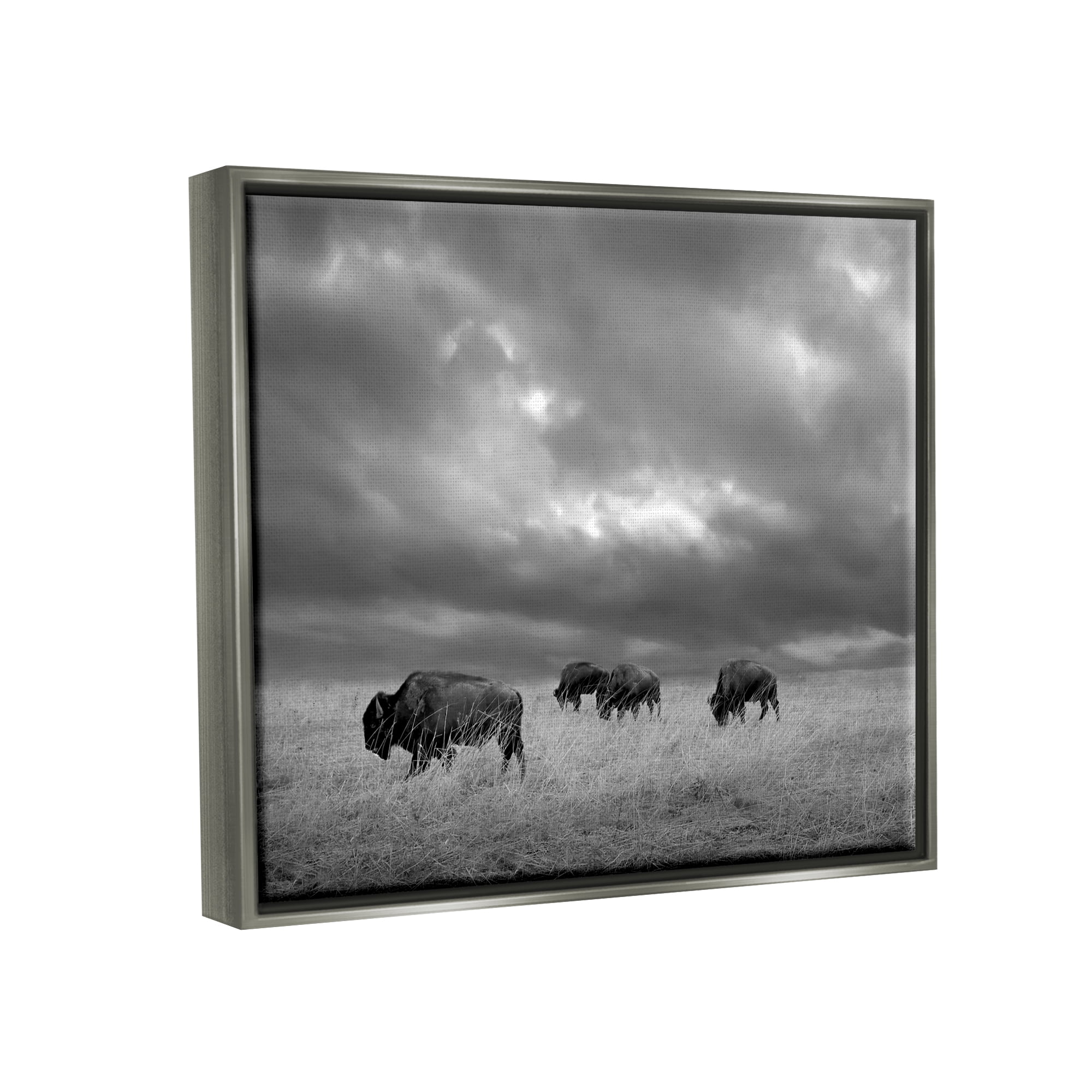 Stupell Industries Bison in Cloudy Field Landscape Photography Gray Floater Framed Canvas Art Print Wall Art, 21 x 17