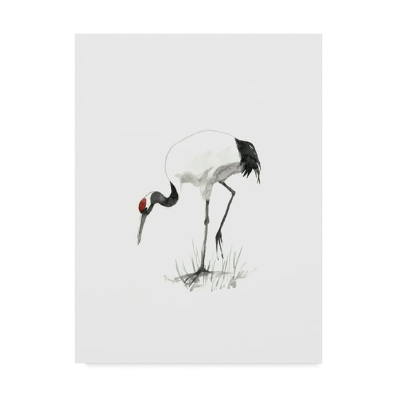 Trademark Fine Art 'Japanese Cranes II' Canvas Art by Naomi McCavitt