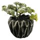 thumbnail image 1 of Flores artificiales, suculentas artificiales, plantas en macetas, decoraciones para el hogar, plantas verdes artificiales., 1 of 5