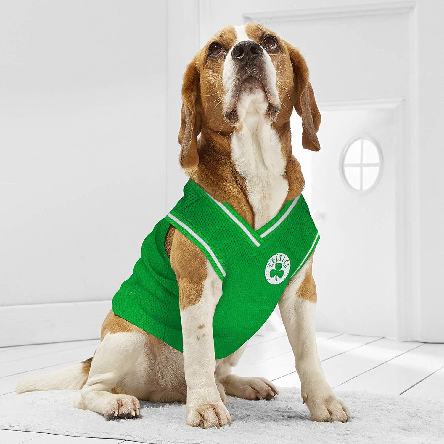 Pets First NBA Boston Celtics Mesh Basketball Jersey for DOGS & CATS - Licensed, Comfy Mesh, 21 Basketball Teams / 5 sizes