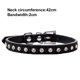 thumbnail image 2 of Collar de perro con remaches de cuero ancho y grueso. Apto para mástiles de 14" a 17", variedad media. MFZFUKR CPB-US-YY824-7, 2 of 5