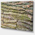 thumbnail image 2 of Thick Tree Skin Close Up - Floral Canvas Art Print, 2 of 3