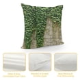 thumbnail image 4 of Autua Vines Plants Graphic Decorative Cushion Throw Pillow Cover for Home Couch Living Room Bed Sofa Short Plush Aesthetic Decor 1PC 24x24in, 4 of 5