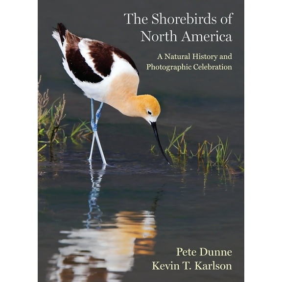The Shorebirds of North America: A Natural History and Photographic Celebration, (Hardcover)