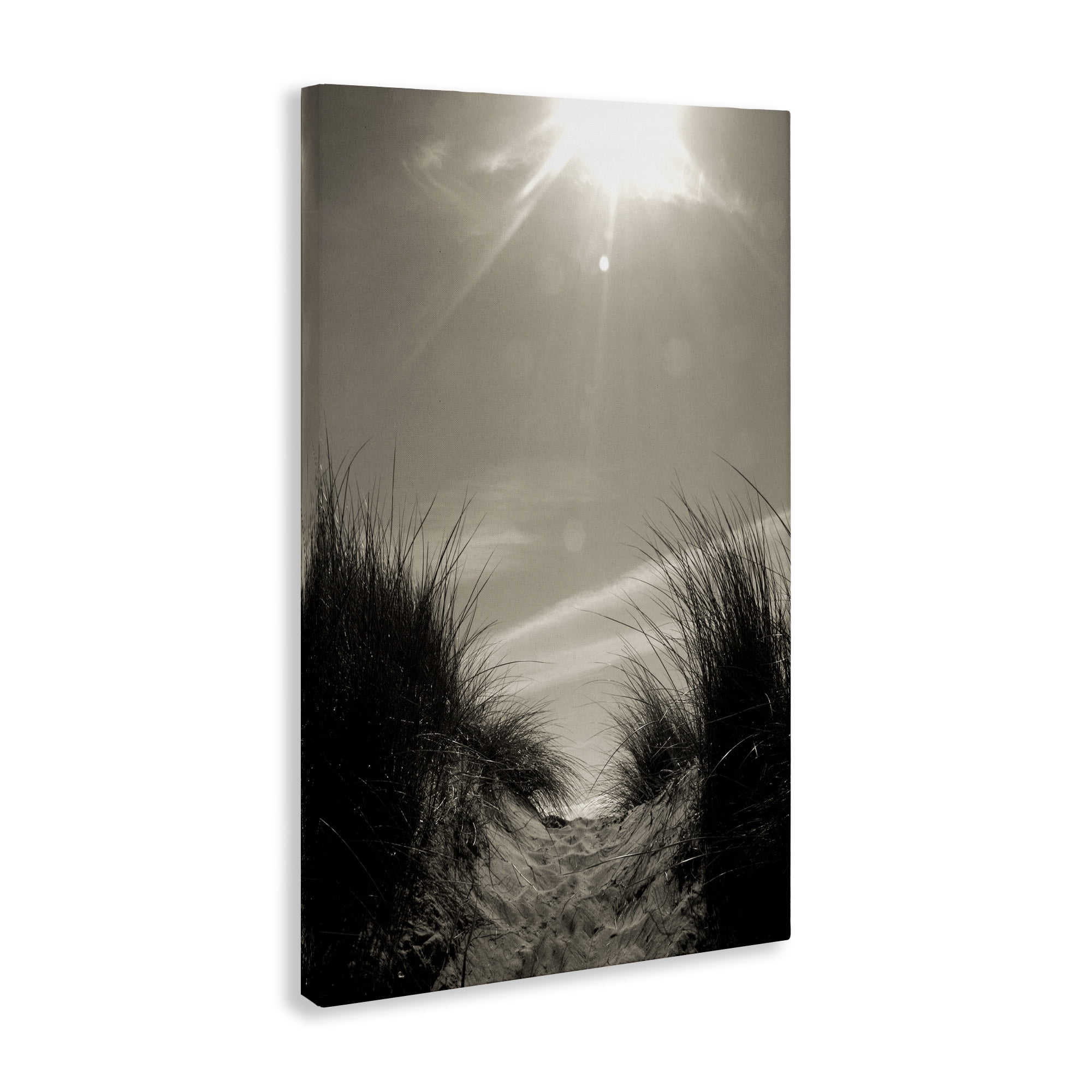 Stupell Industries Dune Valley Landscape Coastal Photography Gallery Wrapped Canvas Art Print Wall Art, 30 x 45