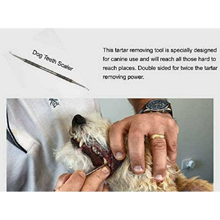 4 PCS PET Biting Puppies Dog Teeth Grinding Artificial Chicken