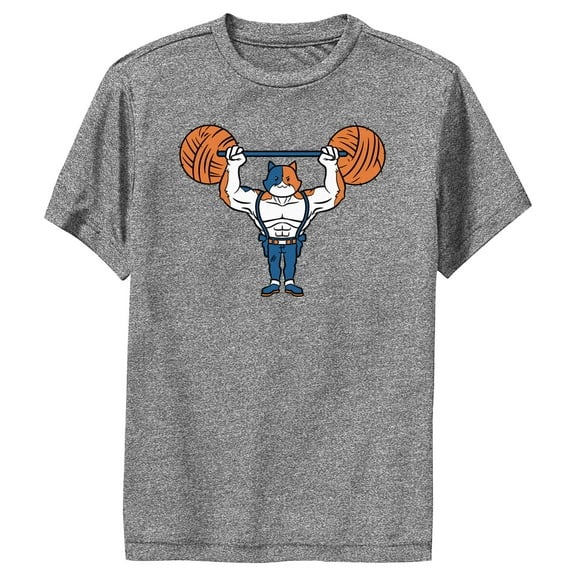 Boy's Fortnite Yarn Lifter Meowscles Performance Graphic Tee Charcoal Heather Large