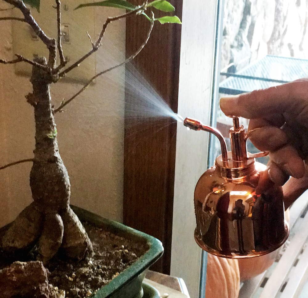 300ml Mini Copper Plant Flower Watering Pot Spray Bottle