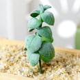 thumbnail image 2 of Coofit Artificial Succulent Pick DIY - Unpotted Mini Succulent Decor Faux Plant Stem, 2 of 4