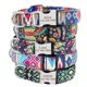 thumbnail image 4 of Typpkmm Custom Engraved Dog Collar with Personalized Nylon Pet Dog Tag, 4 of 7