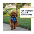 thumbnail image 2 of Correa para perro Ruffwear Front Range de 1,5 m con asa acolchada, color verde, 2 of 9