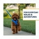 thumbnail image 2 of Correa para perro Ruffwear Front Range de 1,5 m con asa acolchada, color verde, 2 of 9