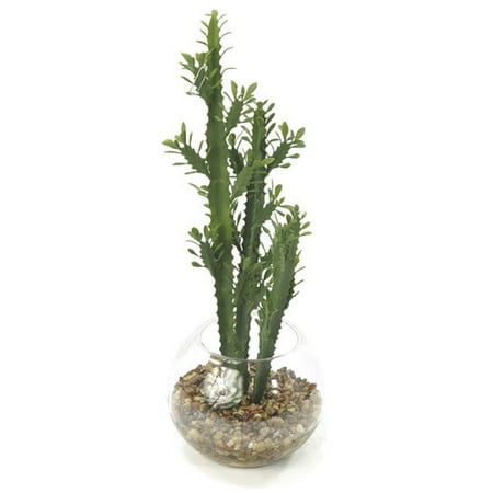decorative accents pebbles southern home accents decorative milk tree cactus with decorative accents pebbles southern home accents decorative milk tree cactus with