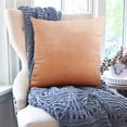 thumbnail image 5 of Euahivb Velvet Throw Pillow 17.7x17.7 Inch Soft Plush Cushion for Sofa Couch Living Room Bedroom Home Decor Accessories, 5 of 6