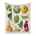 thumbnail image 1 of Vegetable Soft Flannel Fleece Throw Blanket, Exotic Menu Vegan Crop Growth Chef Fresh Beet Leek Asparagus Gardening Theme, Cozy Plush for Indoor and Outdoor Use, 60" x 80", Multicolor, by Ambesonne, 1 of 6