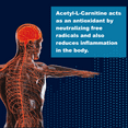 thumbnail image 4 of LifeLink's ALC (Acetyl L-Carnitine) | 500 mg x 90 Capsules | Cellular Energy Production, Supports Memory & Focus, Stamina, Body Building | Gluten Free & Non-GMO | Made in the USA, 4 of 8