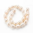 thumbnail image 3 of Natural Cultured Freshwater Pearl Beads Strands Rice Seashell Color 7~9x6~7mm Hole: 0.5mm 22~23pcs/strand 7.09''(18cm), 3 of 6