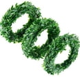 thumbnail image 1 of Guirnalda de hojas de eucalipto, enredaderas verdes artificiales de plástico para manualidades de pared de bodas, accesorio de corona decorativa, 22,5 metros de largo, plantas colgantes de follaje, 1 of 6
