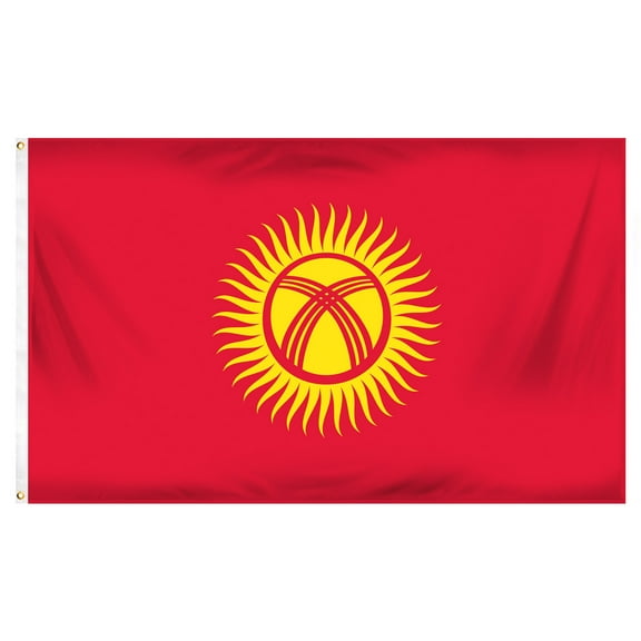 Online Stores Kyrgyzstan Printed Polyester Flag 9.5in x 8in
