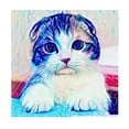 thumbnail image 1 of Pintura de diamante 5D Macarena Kits de Rhinestone Gato colorido, 1 of 7