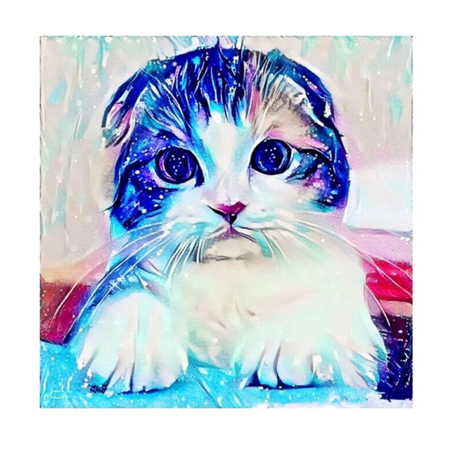 Pintura de diamante 5D Macarena Kits de Rhinestone Gato colorido