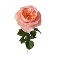 View all media